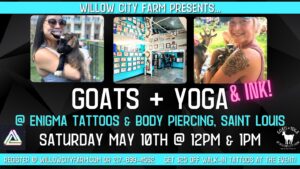 Goats + Yoga & Ink